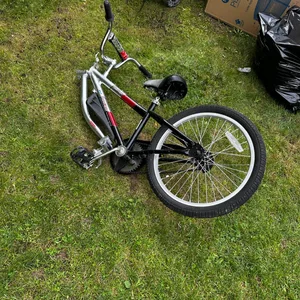Kids Trailer Bike