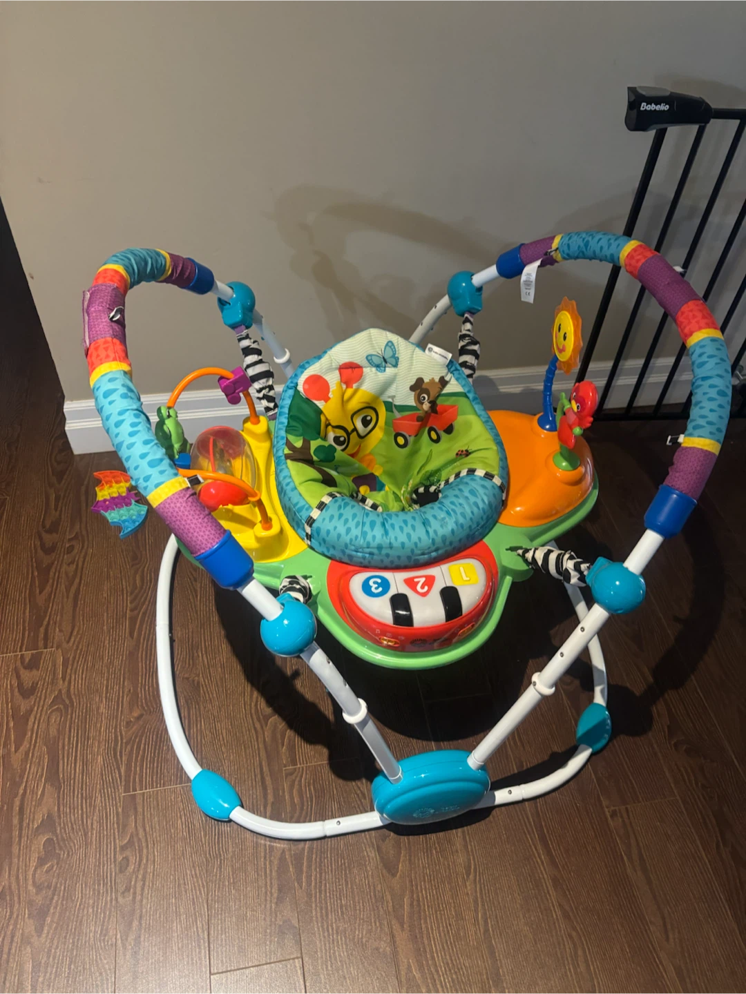 Baby Einstein Musical Jumper