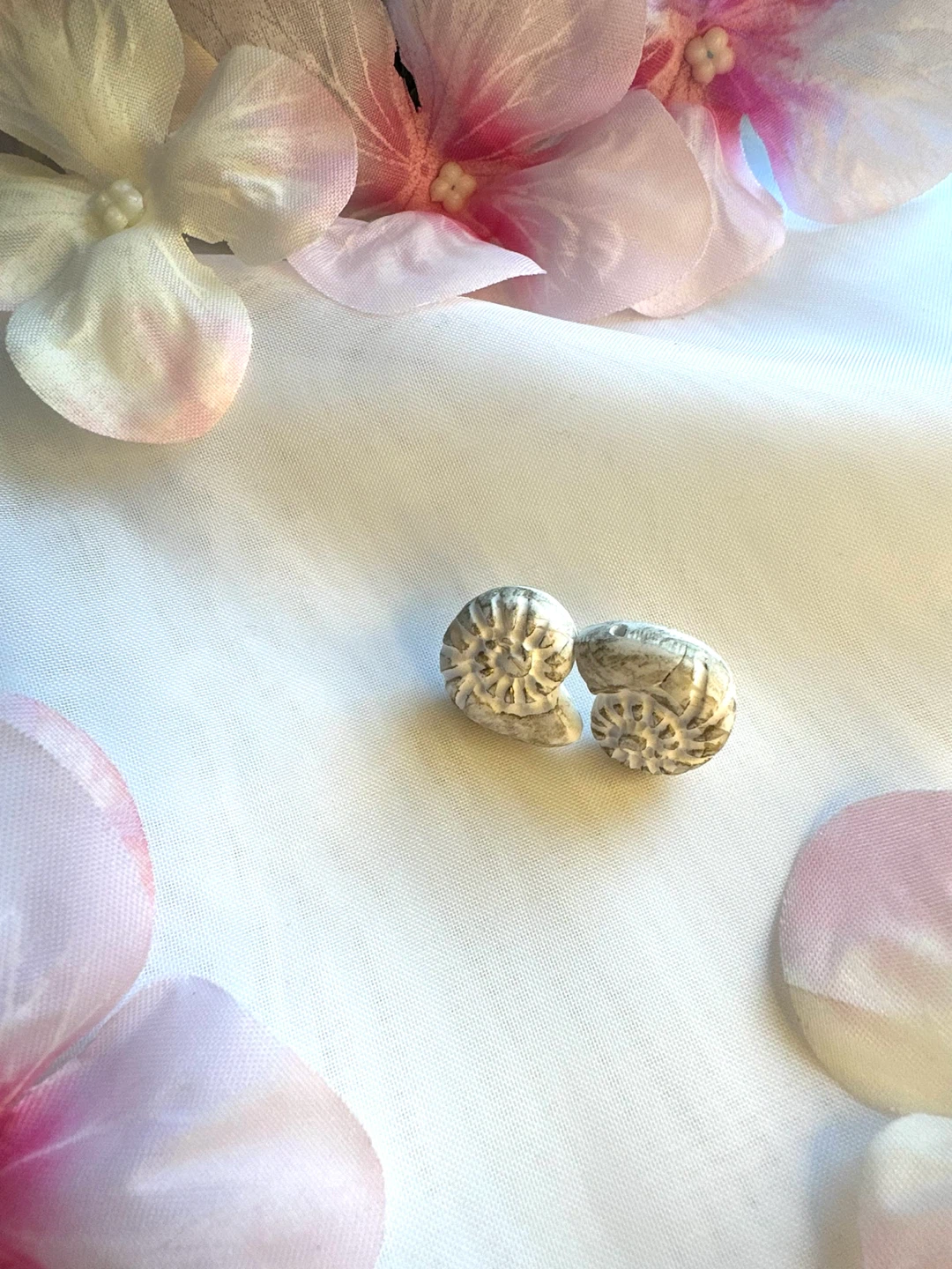 Small Ammonite Shell Earrings- @jennferrersuarez - photo 5