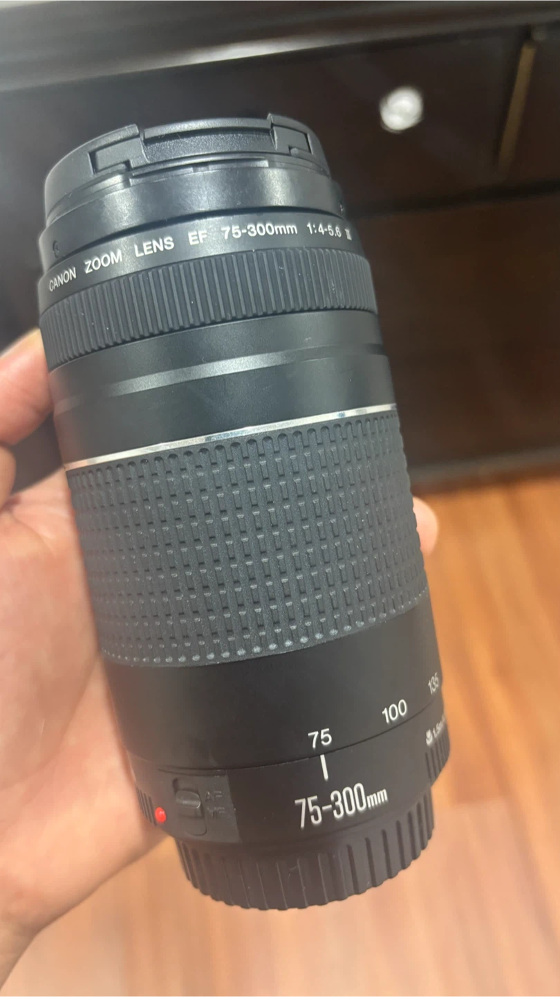 Canon EF 75-300mm f/4-5.6 Zoom Lens