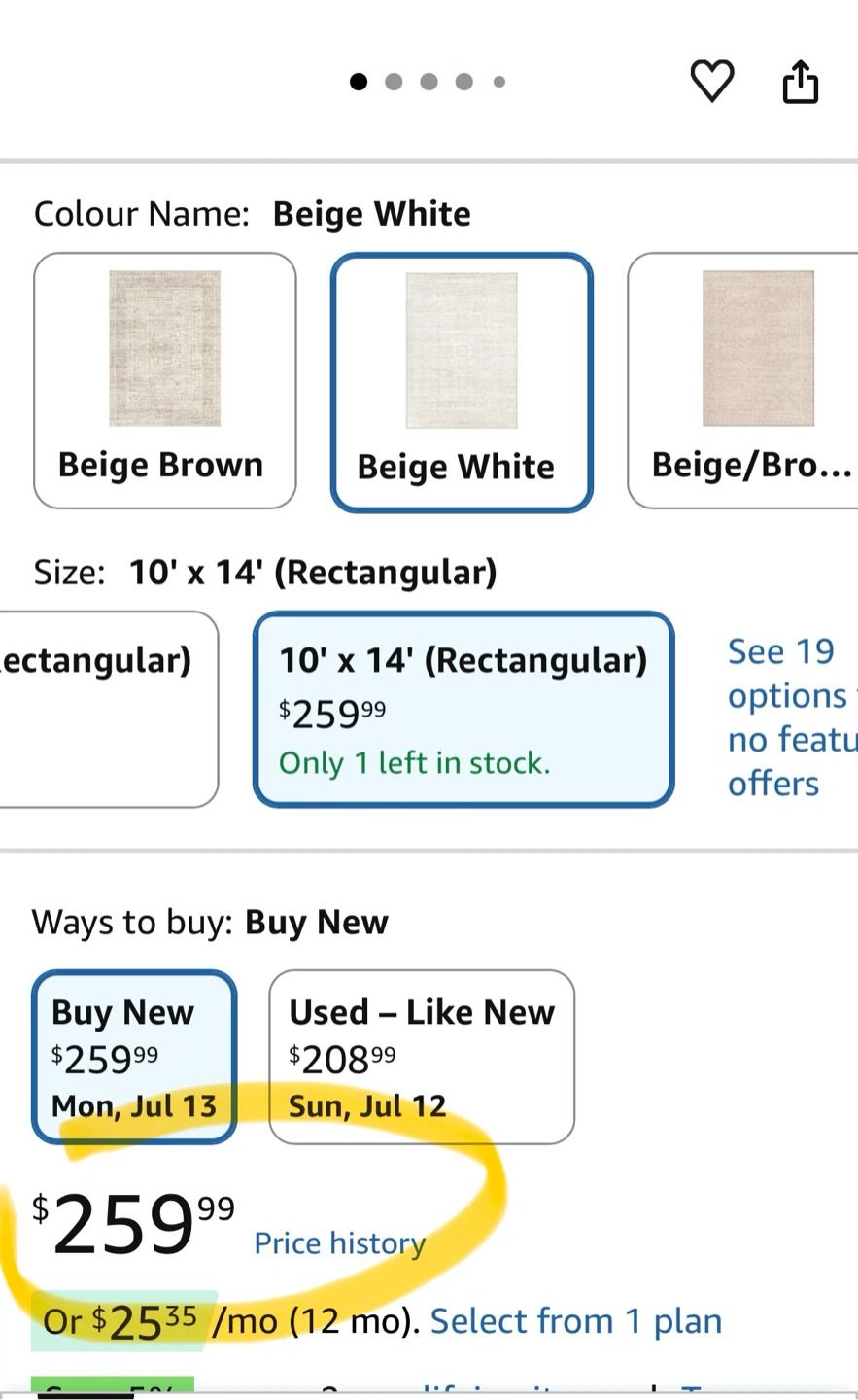Beige White Area Rug - 10' x 14' - photo 2