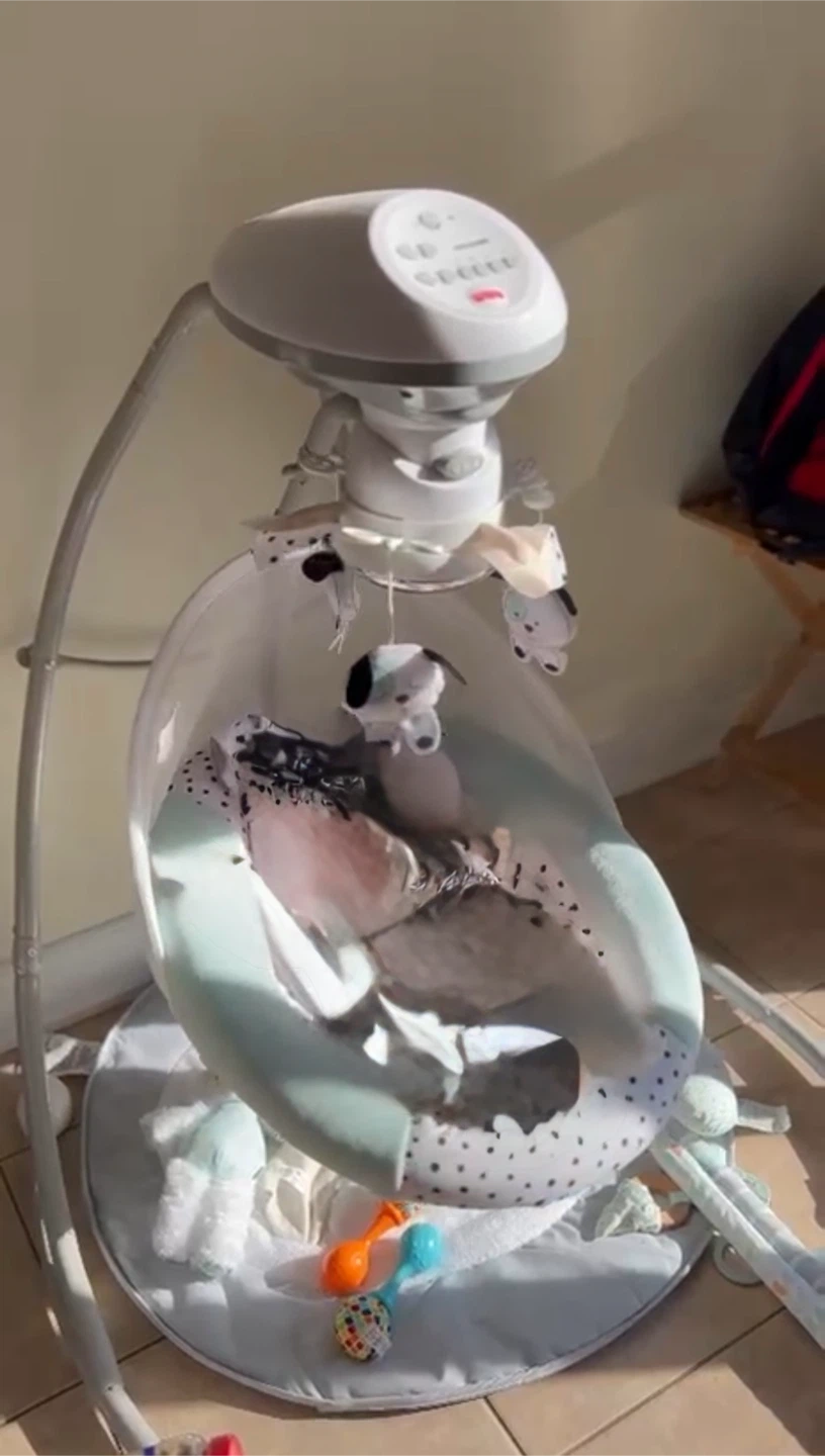 Fisher-Price Baby Swing