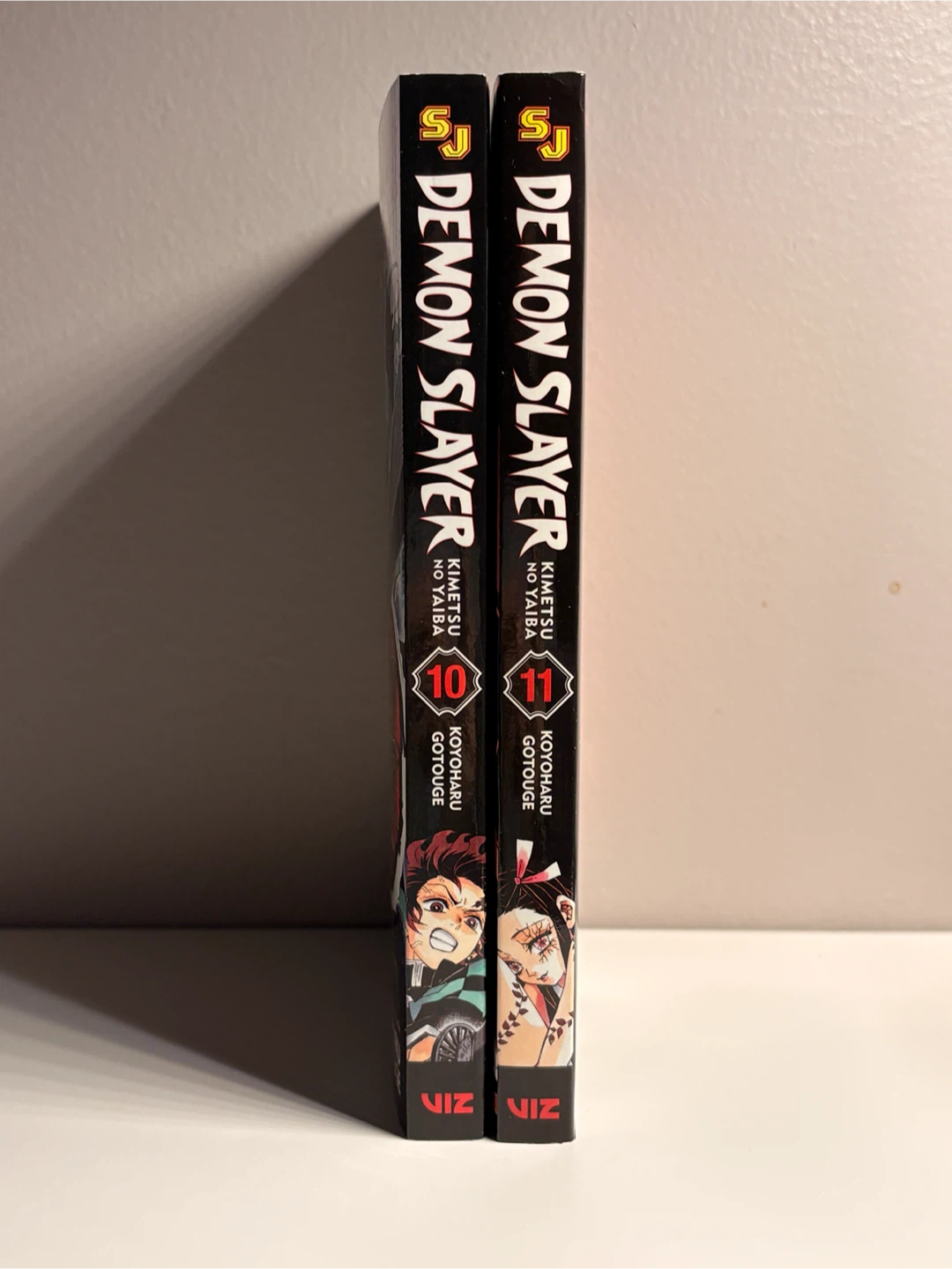 Demon Slayer Kimetsu No Yaiba Manga (10, 11)