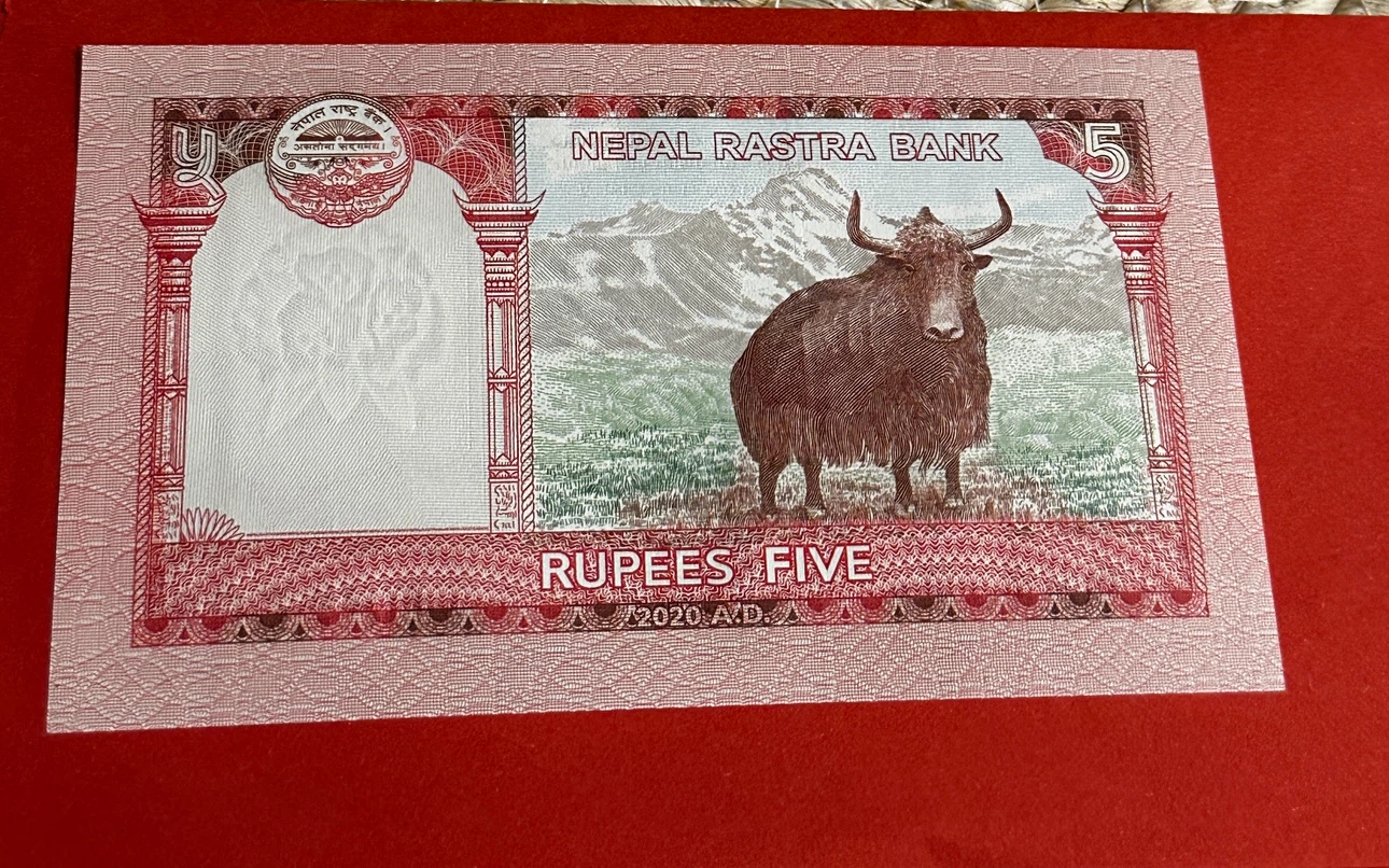 Nepal 5 Rupees Banknote - photo 2