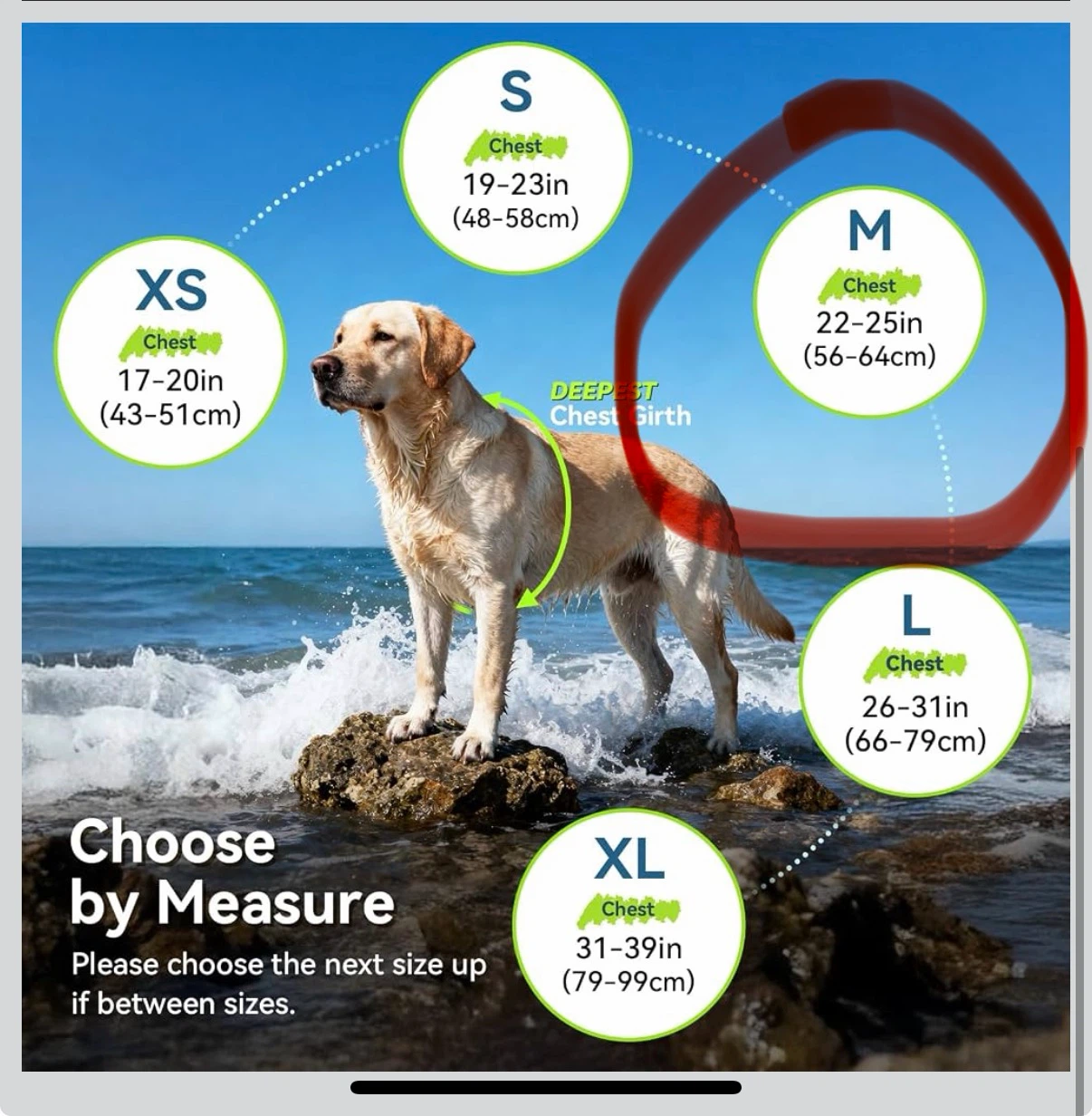 NEW With Tags Vivaglory Dog Life Jacket. SIZE MEDIUM - photo 4