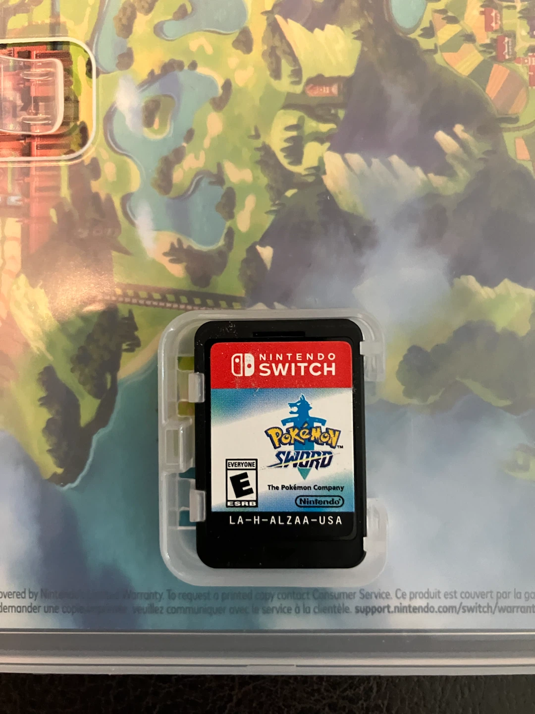 Pokémon Sword - photo 4