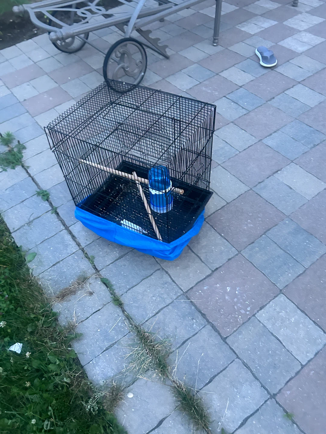Bird Cage with Water Bottle