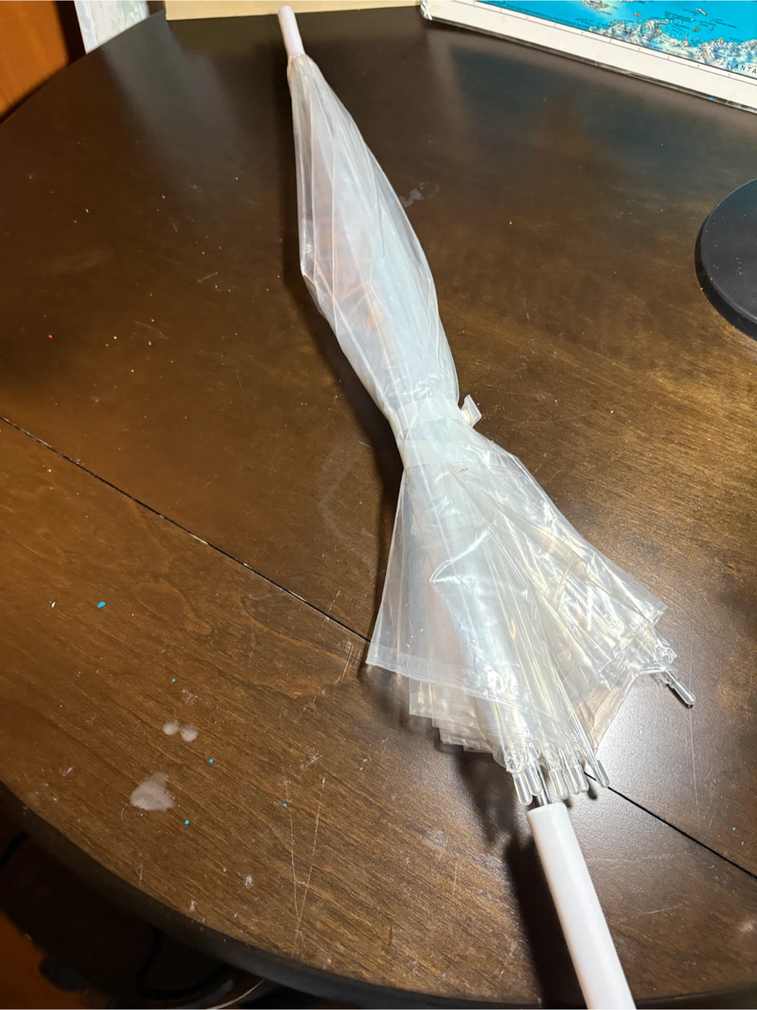 Clear plastic umbrella