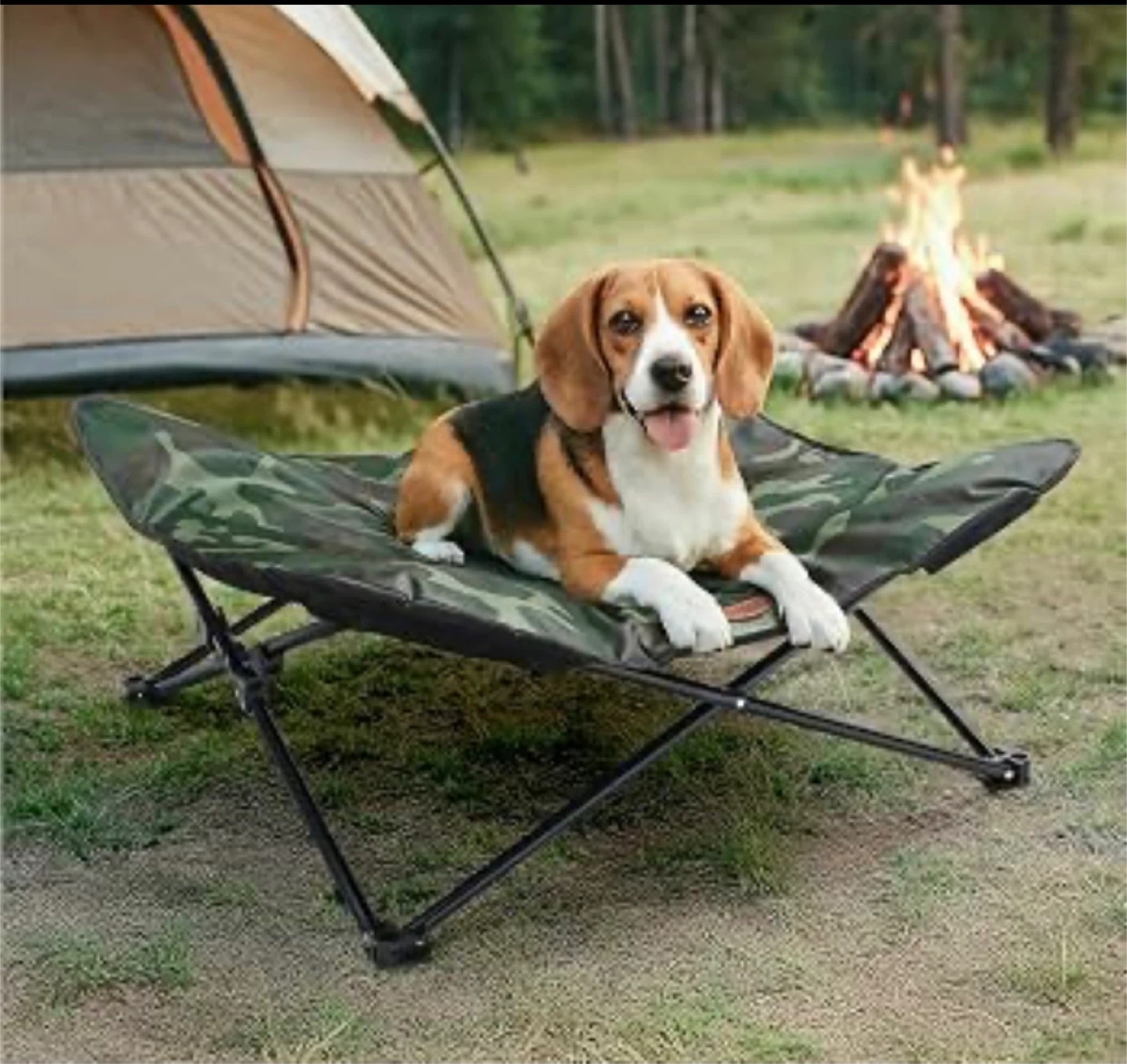 Portable Pet Cot
