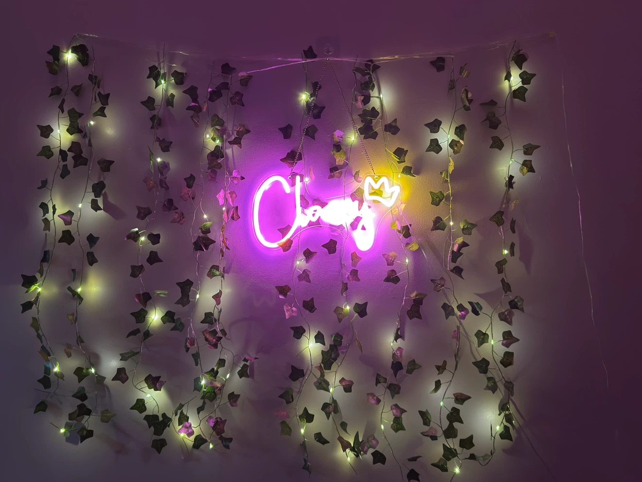 Neon Sign and String Lights - photo 2