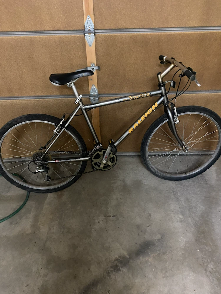 Raleigh Tarantula Mountain Bike
