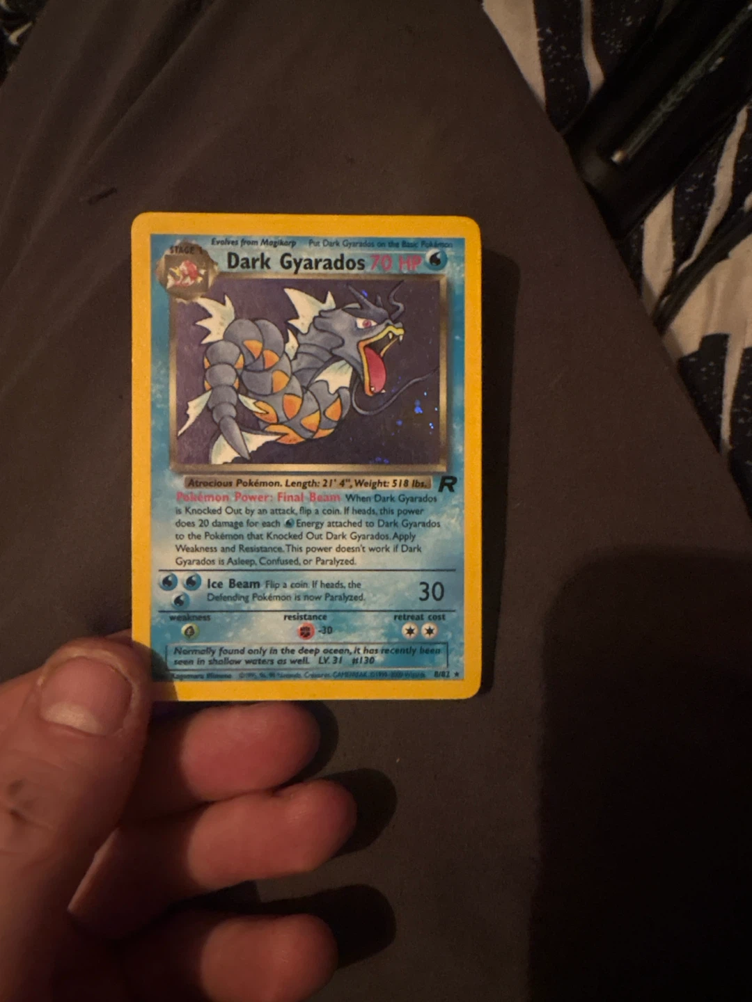 Pokémon Dark Gyarados Card