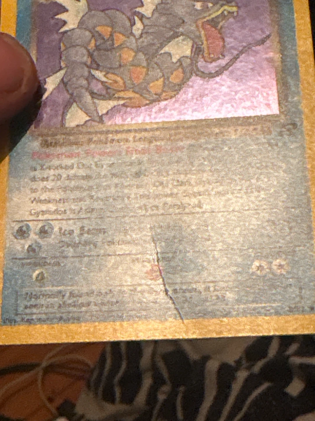 Pokémon Dark Gyarados Card - photo 3