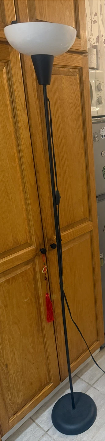 Black Floor Lamp