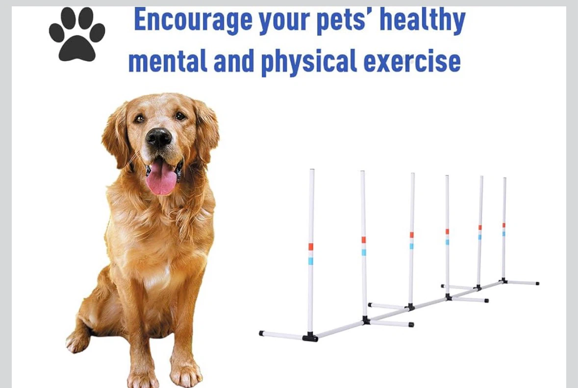 Dog Agility Weave Pole Training Set - photo 3