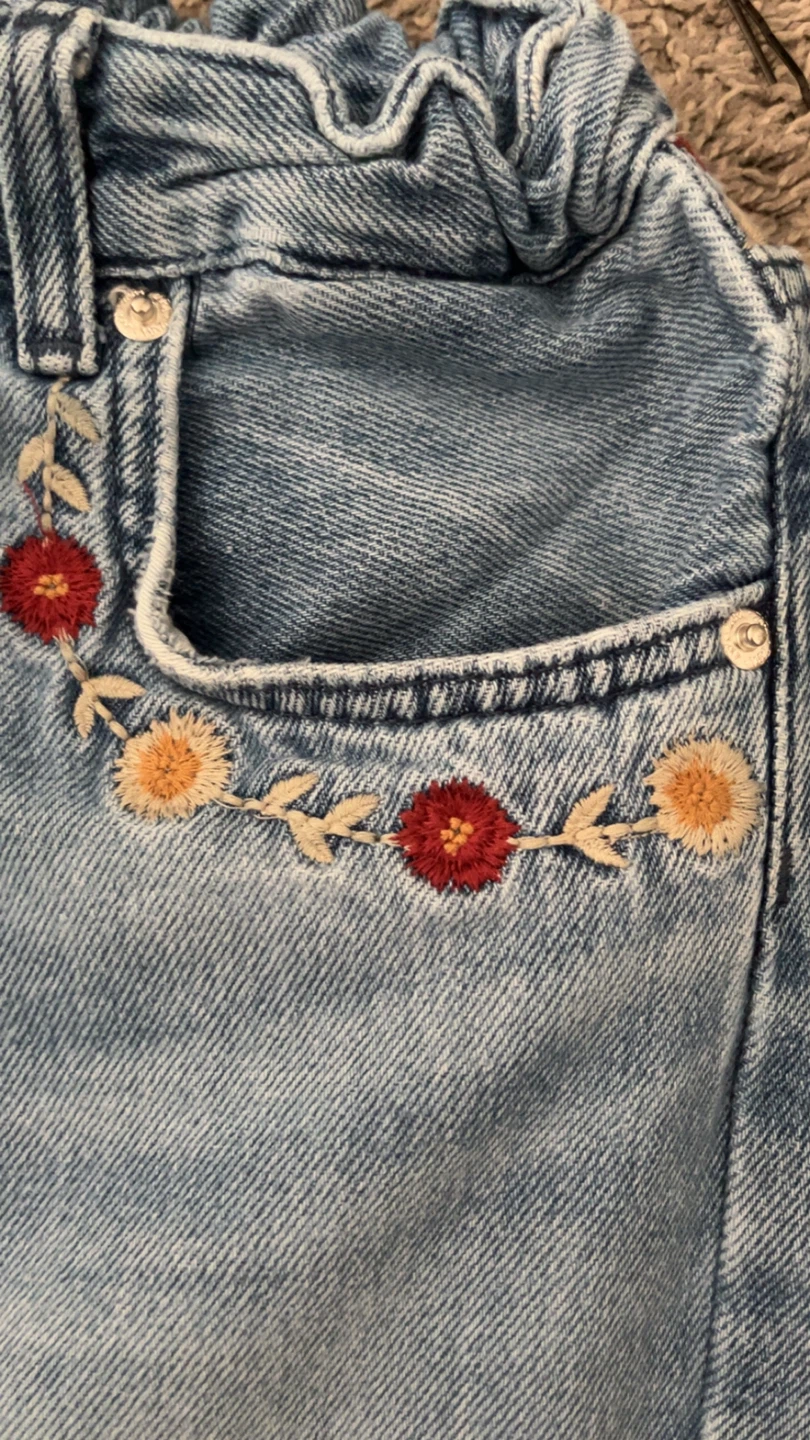 Zara Embroidered Wide-Leg Jeans