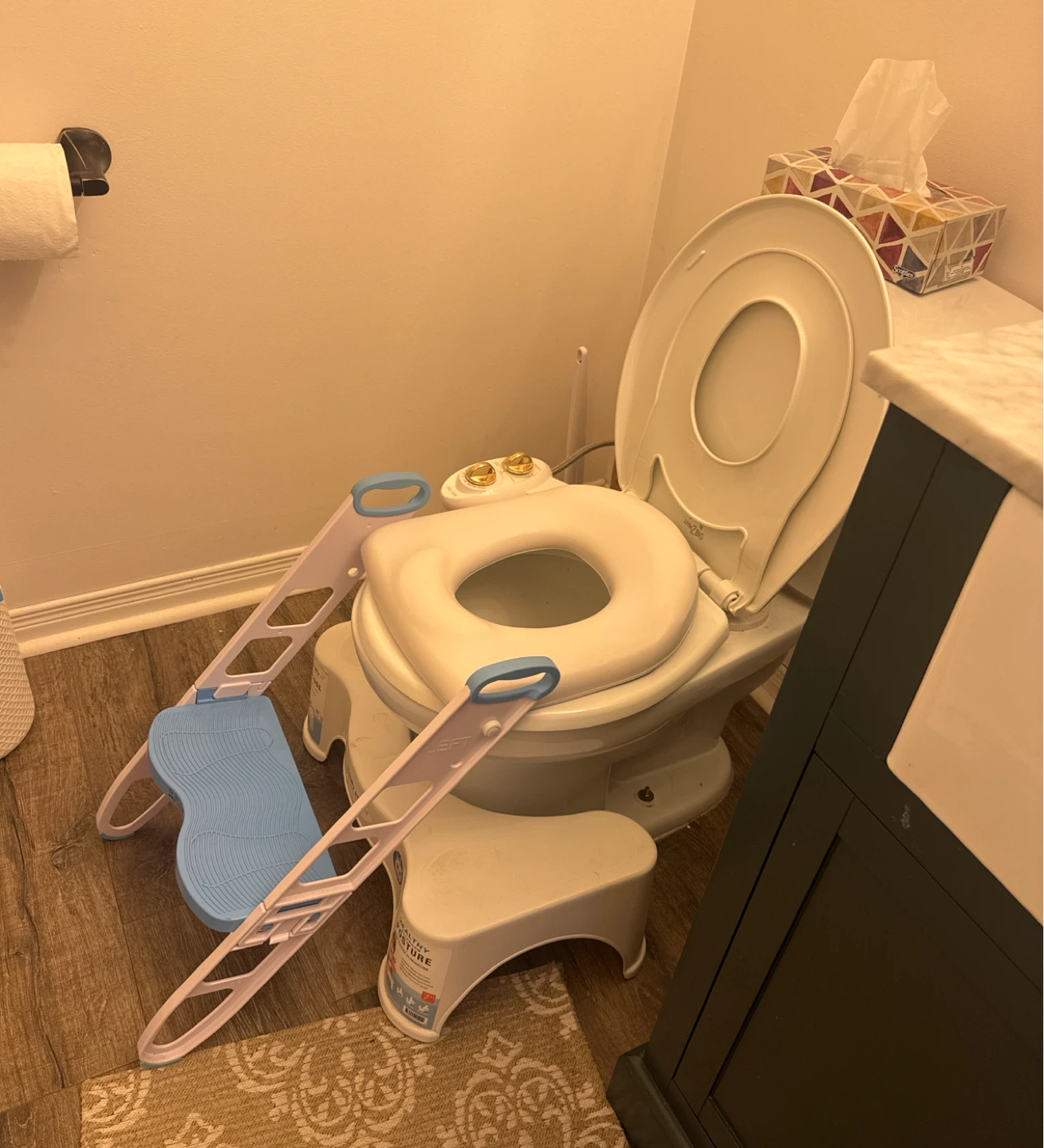Toddler Potty Training Seat with Step Stool
