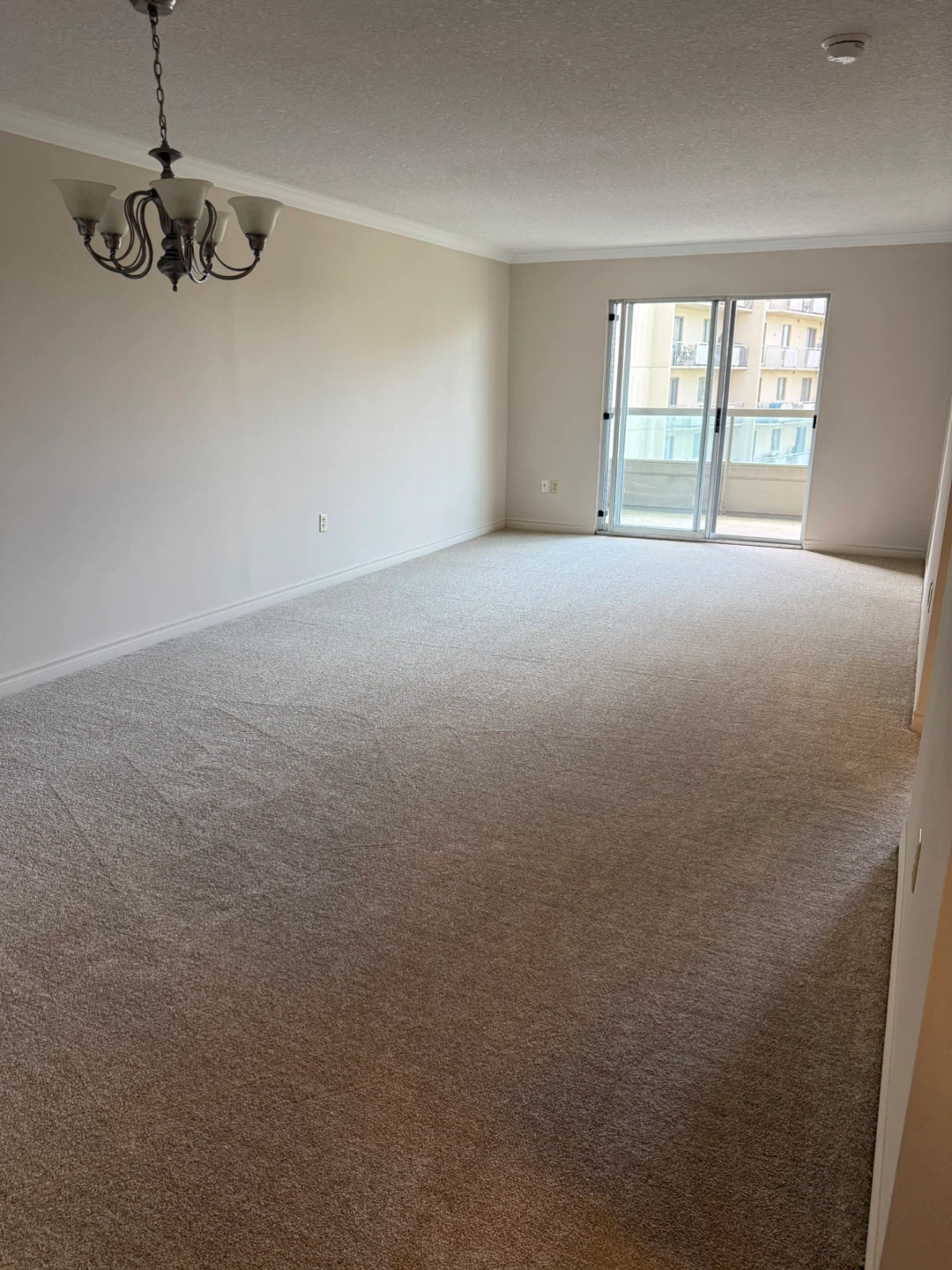 1 Bedroom + Den Apartment for Rent - photo 3