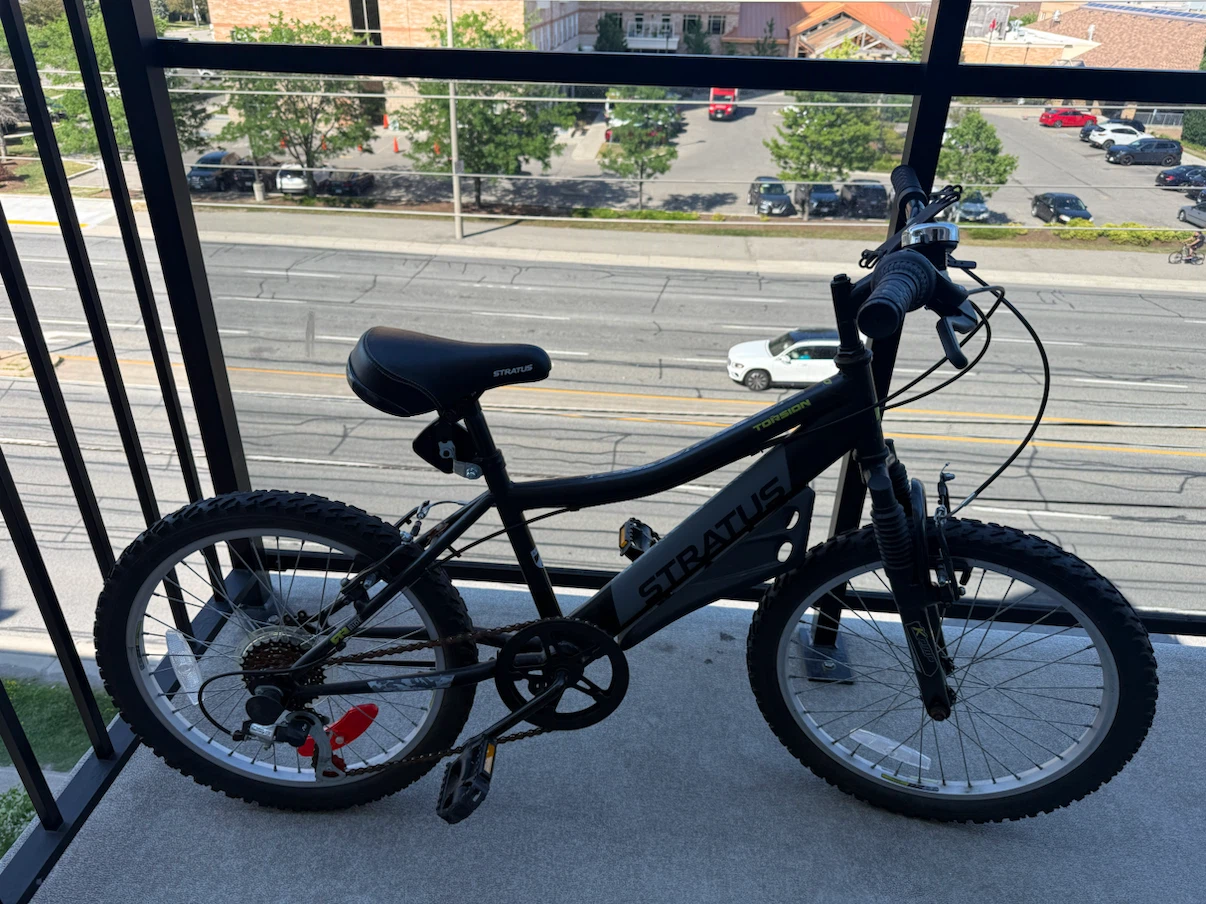 Stratus Torsion Kids Bike