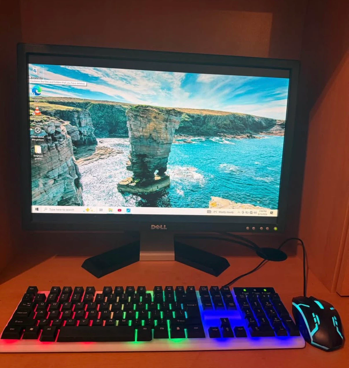 Dell 19-inch Computer Monitor with Headphones