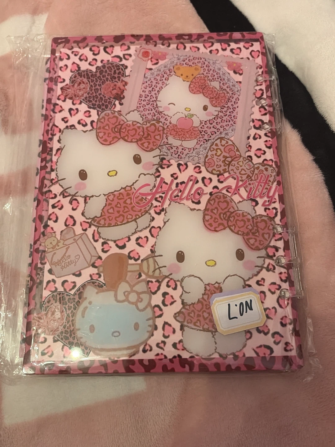 Hello Kitty notebook - photo 2