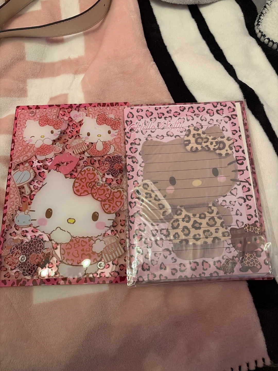 Hello Kitty notebook - photo 3