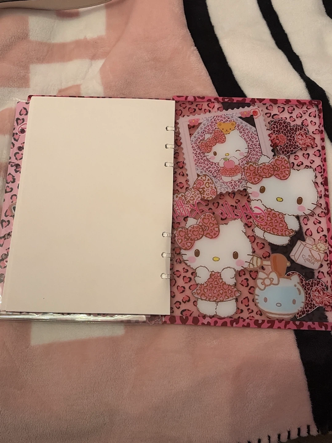 Hello Kitty notebook - photo 4