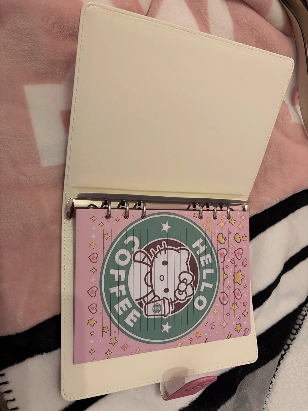 Hello Kitty Binders - photo 3