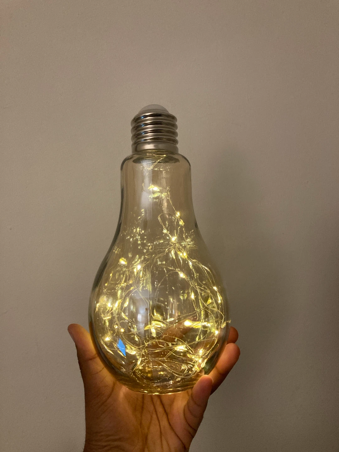 Decorative Light Bulb with Fairy Lights