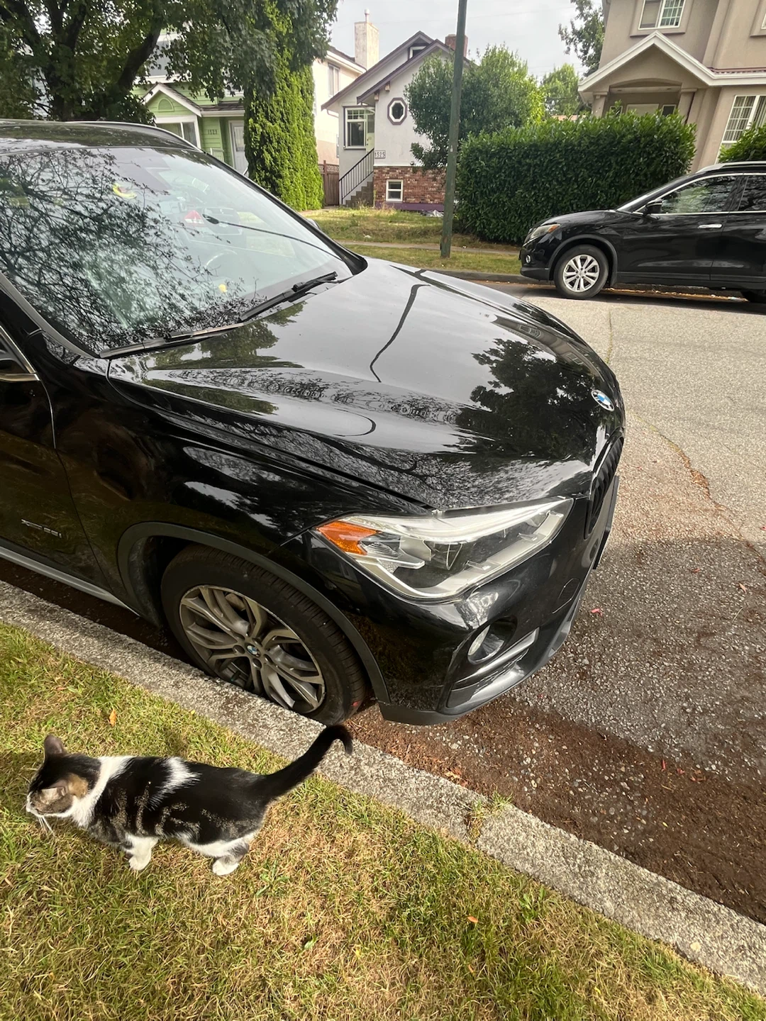 BMW X1 2016 Battery Needs Replacement - photo 2