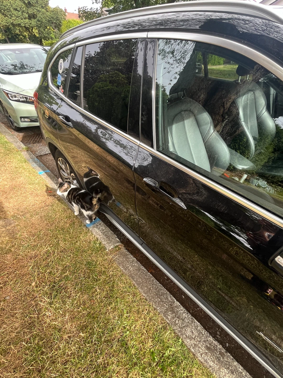 BMW X1 2016 Battery Needs Replacement - photo 3
