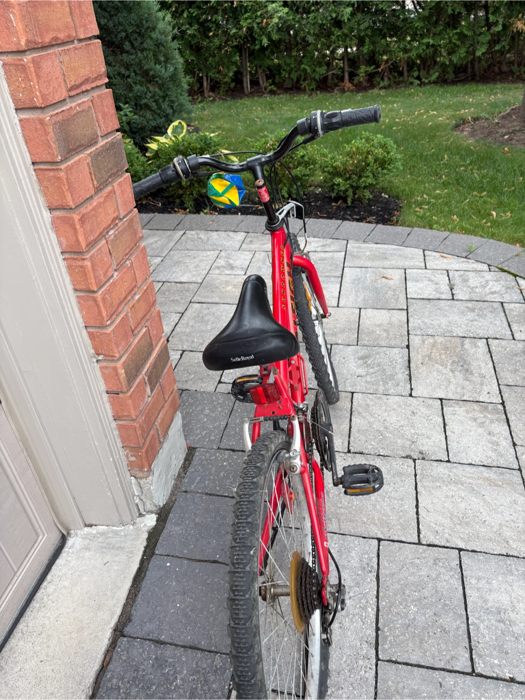 Raleigh 24” Girls Mountain Bike  – Ready to Ride - photo 3