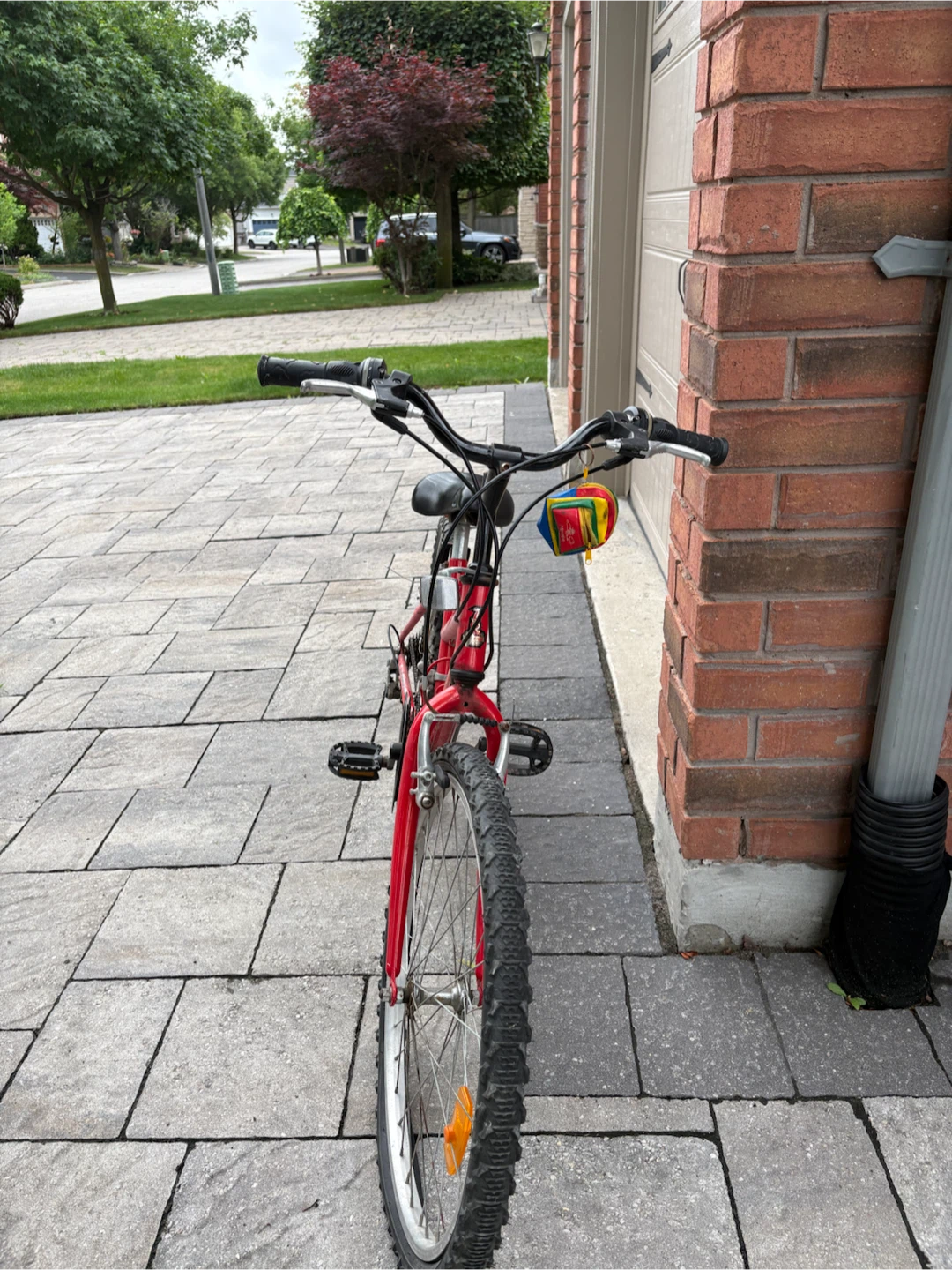 Raleigh 24” Girls Mountain Bike  – Ready to Ride - photo 4