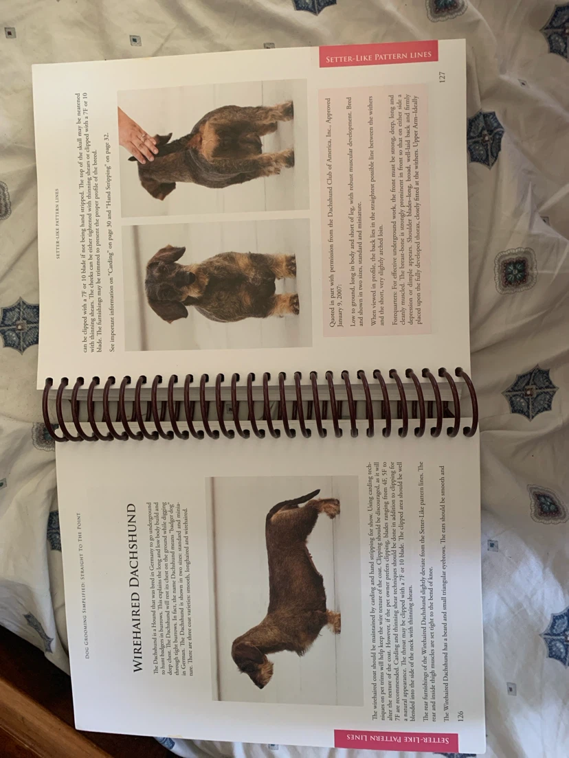 Dog Grooming Simplified: Straight to the Point Book - photo 2