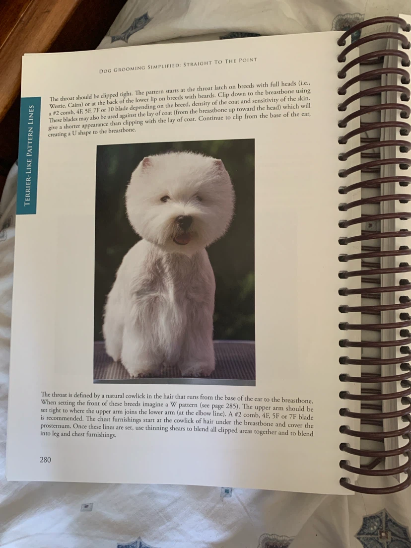 Dog Grooming Simplified: Straight to the Point Book - photo 3