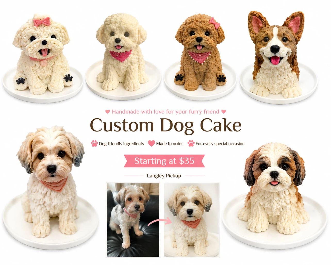 🐶 Handmade Custom Dog Cakes | Made with Love
