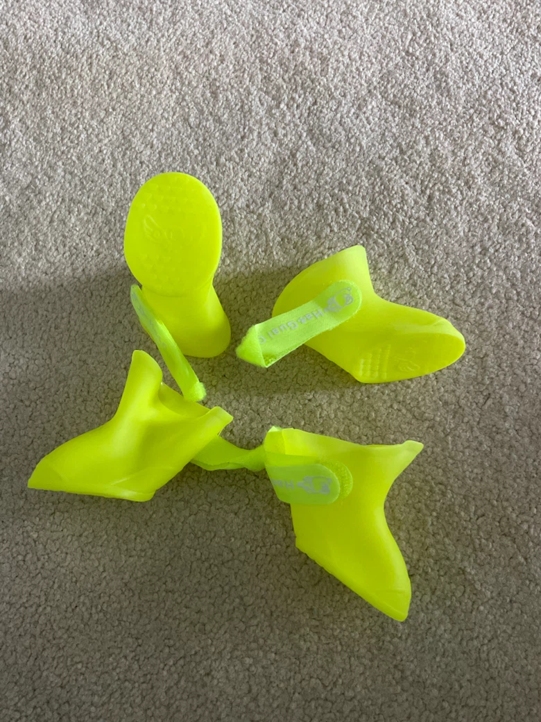 dog rain boots