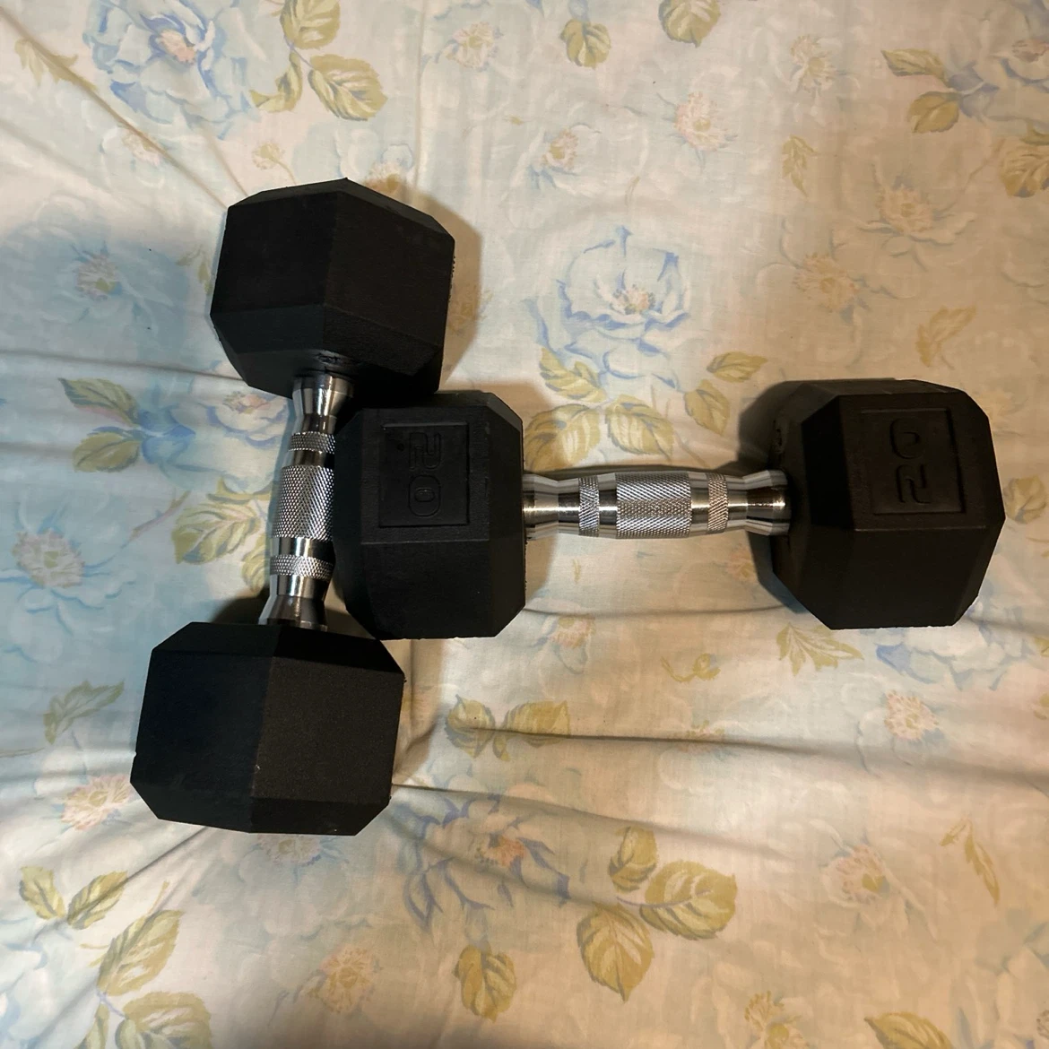 Pair of 20lb Hex Dumbbells