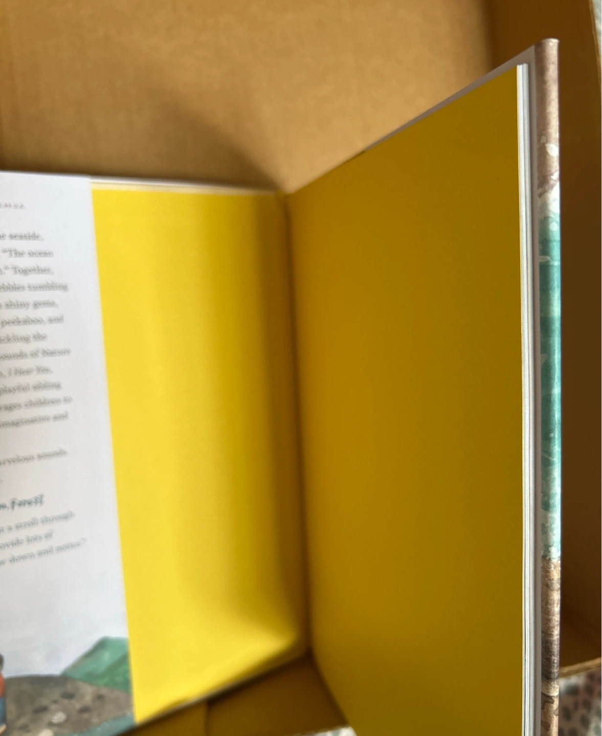 I Hear You, Ocean Children's Book - photo 5