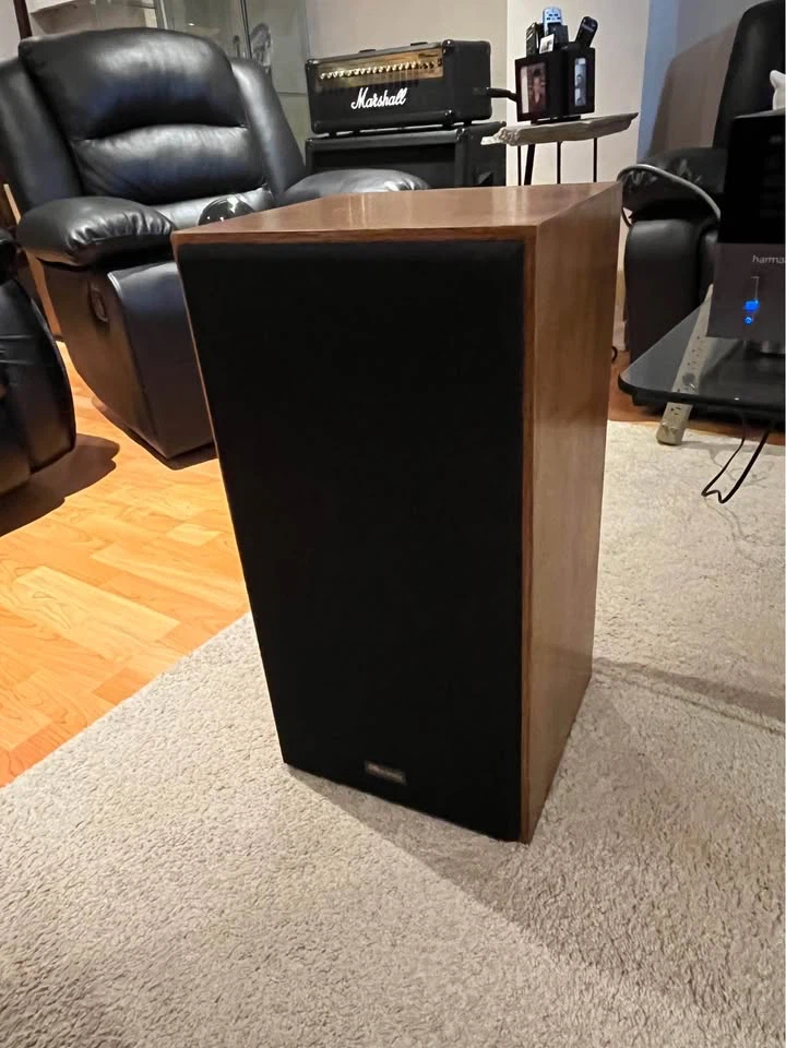 Axiom AX5  Floor-Standing Speakers - photo 2
