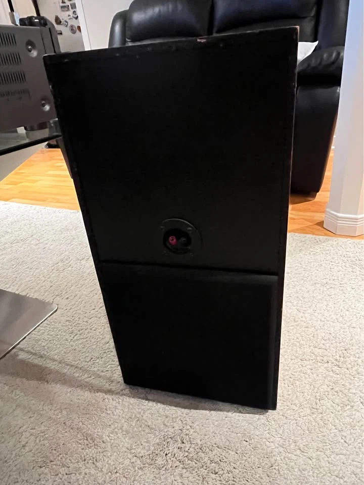 Axiom AX5  Floor-Standing Speakers - photo 3