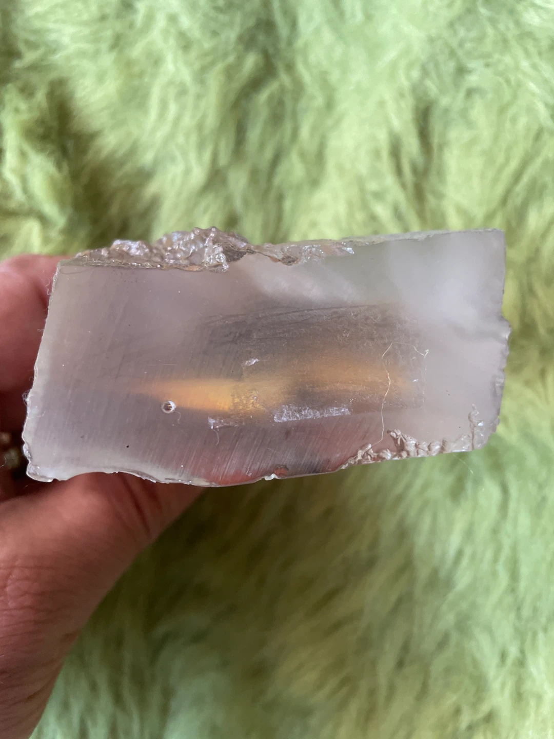 Orange Albatross Butterfly Encased in Resin Display - photo 4