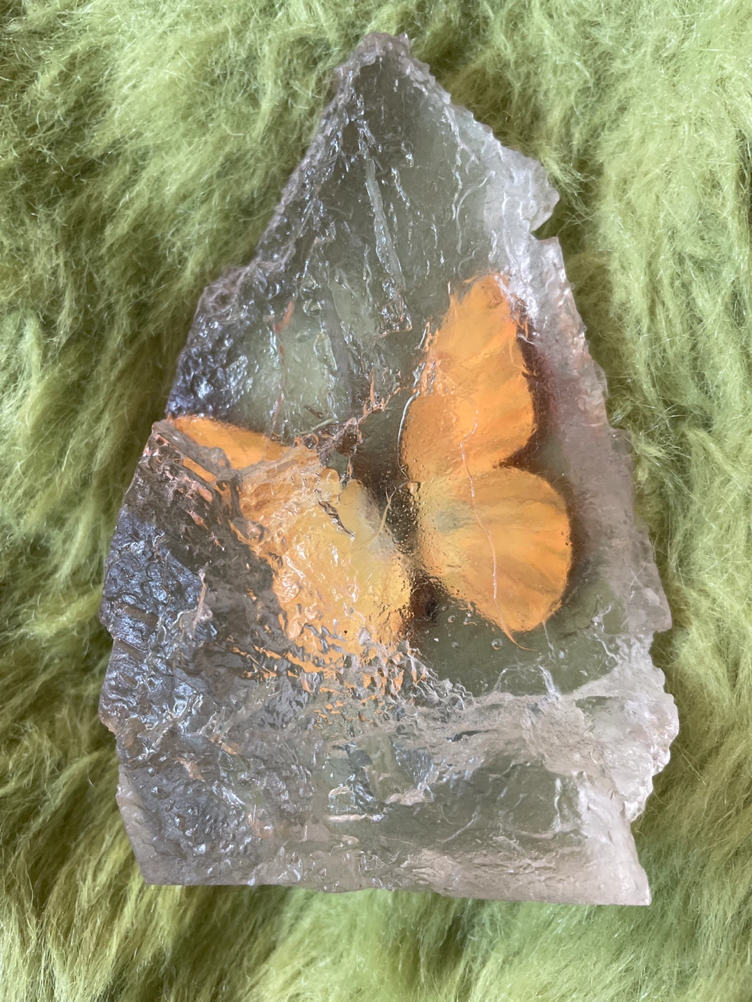 Orange Albatross Butterfly Encased in Resin Display - photo 3