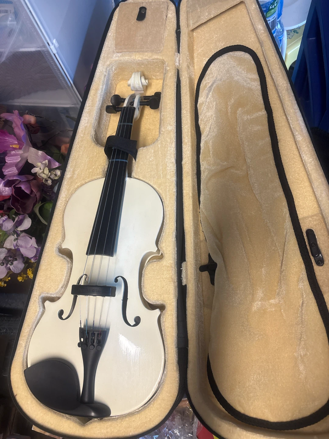 White Violin with Case