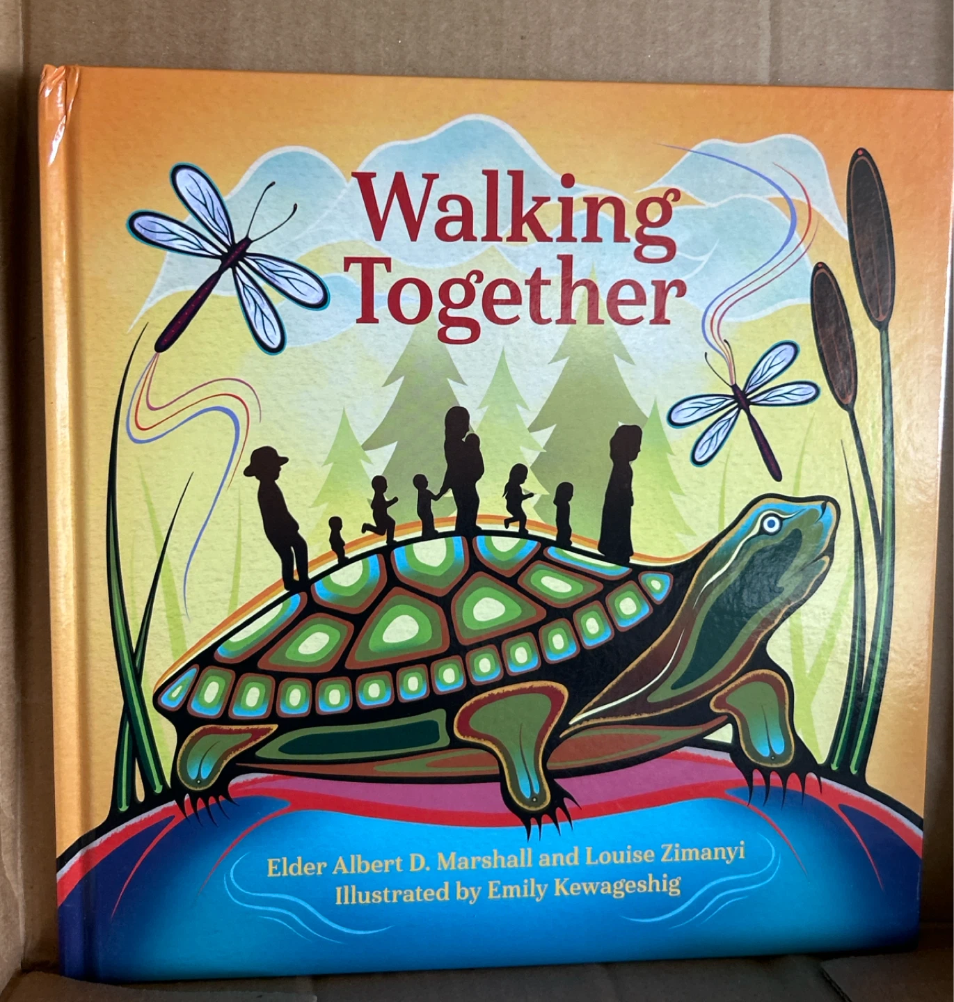 Walking Together Children's Book