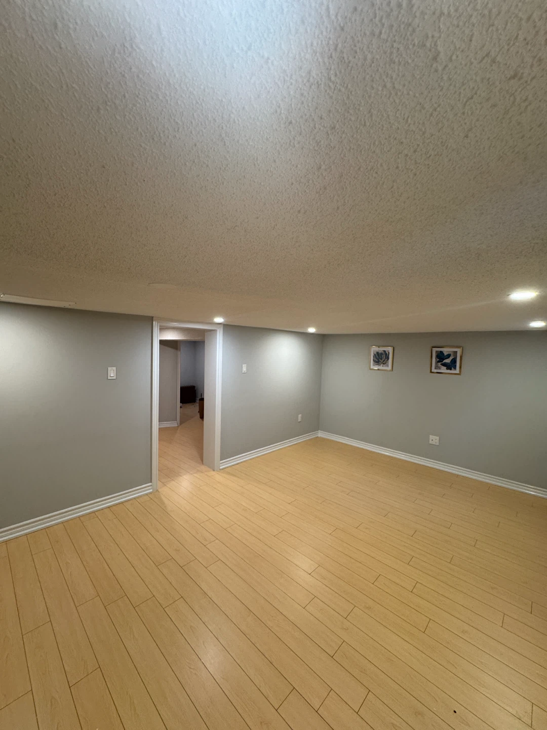 Professional Condo & Home Renovation Services - photo 4