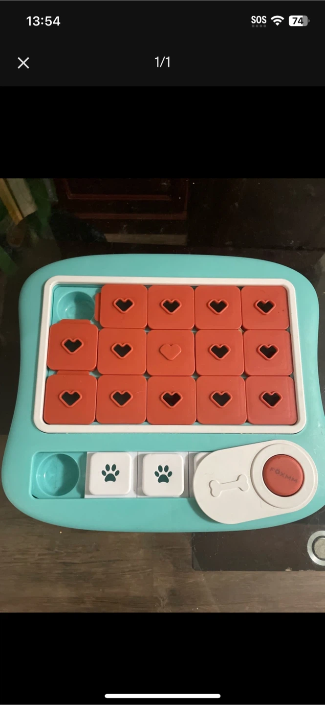 Big Pet Treat Puzzle Toy