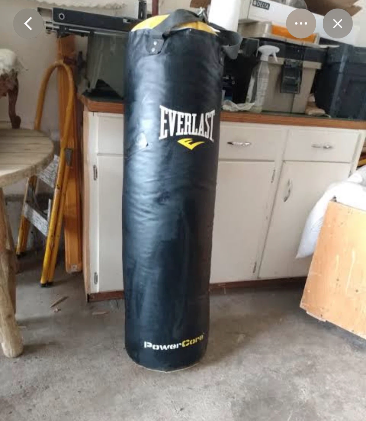 Everlast 100lb Heavy Bag