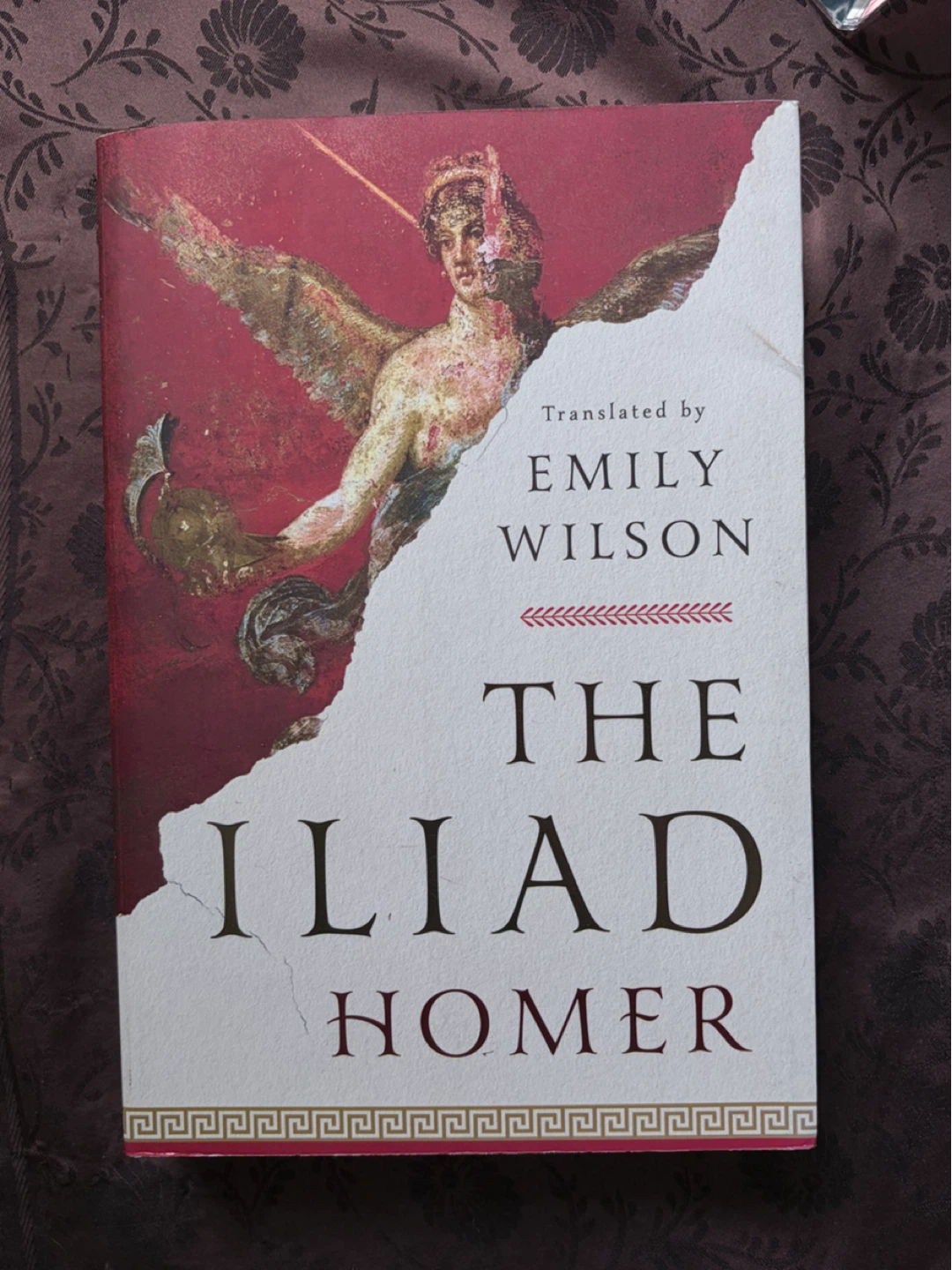 The Iliad by Homer, translated by Emily Wilson