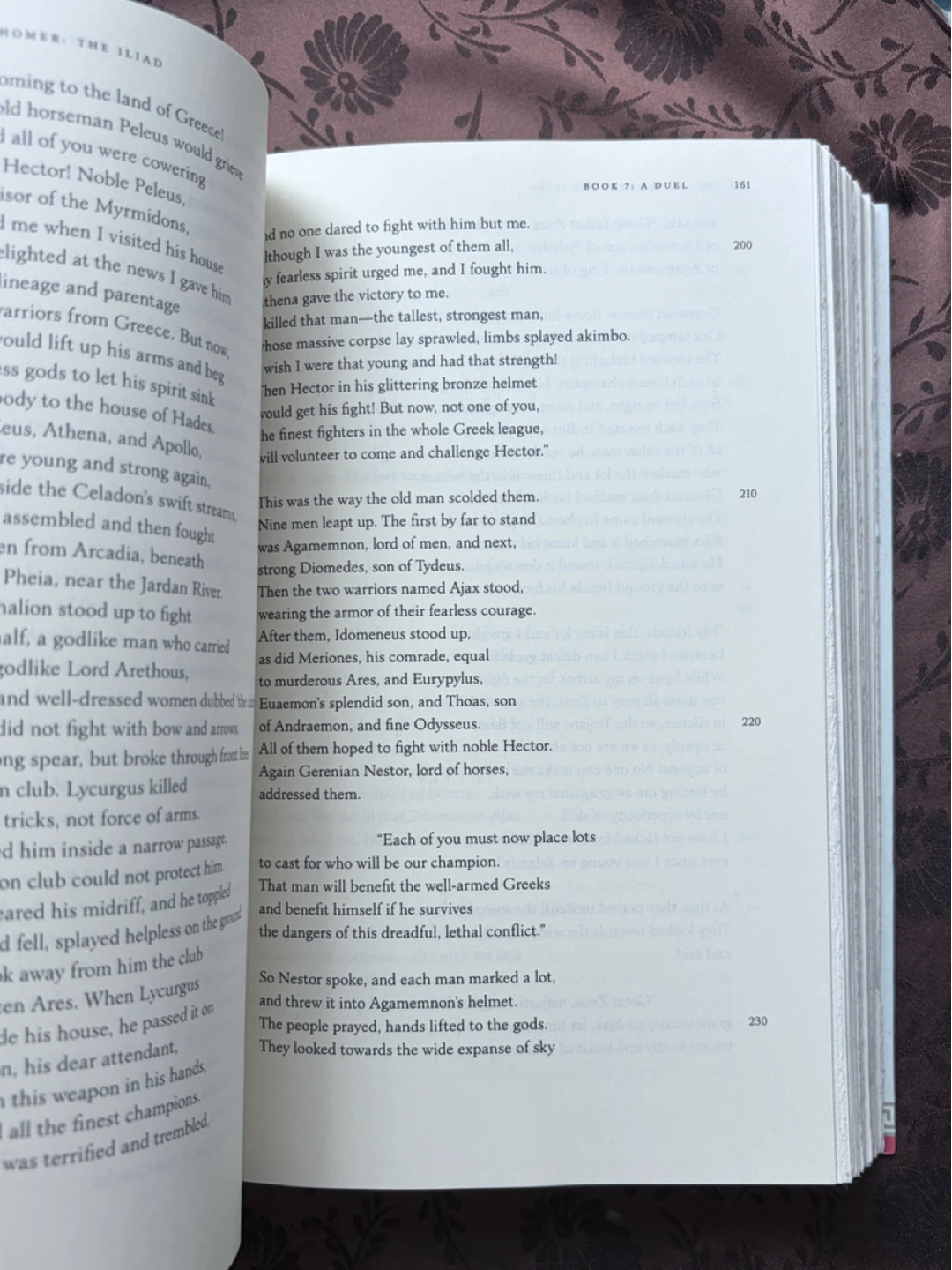 The Iliad by Homer, translated by Emily Wilson - photo 2